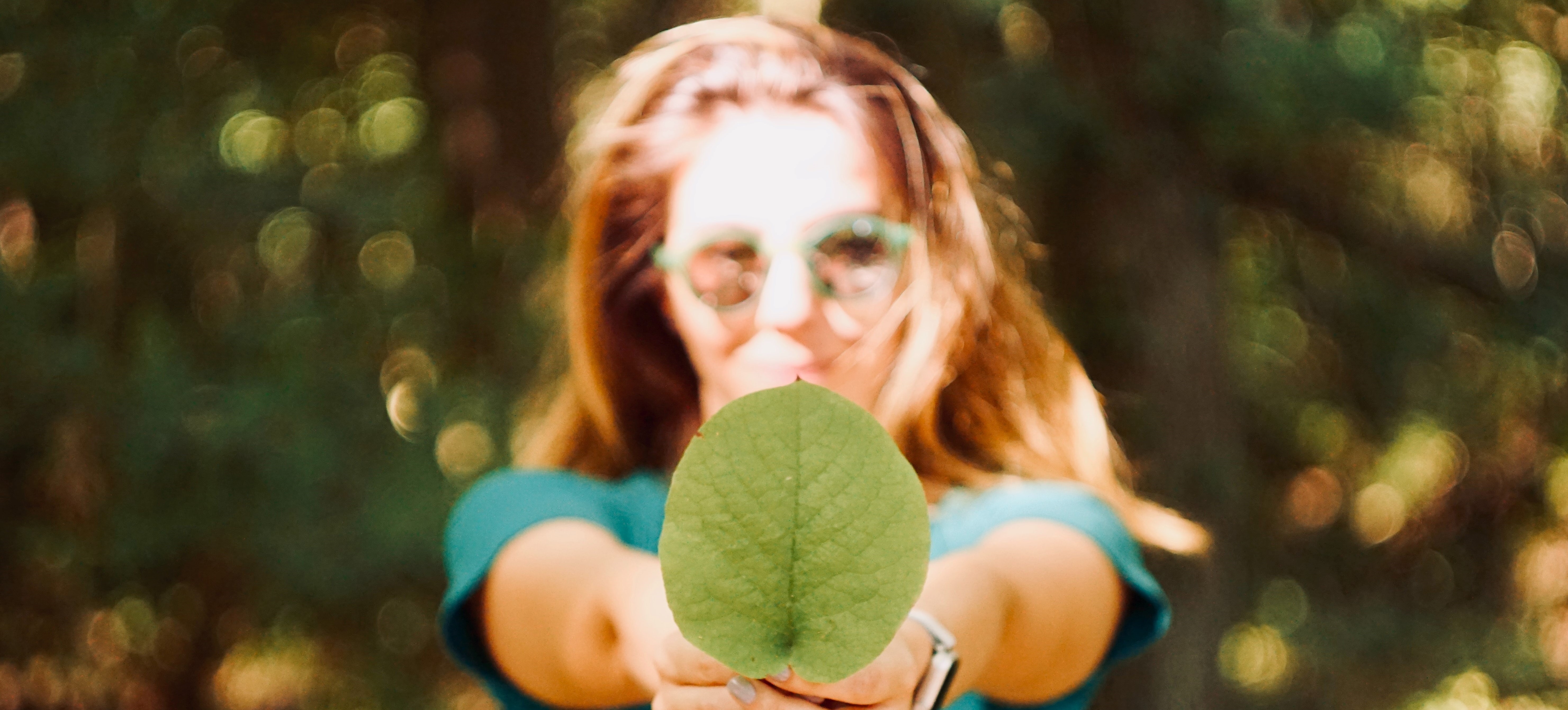 person holding leaf