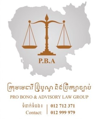 Pro Bono & Advisory Law Group logo